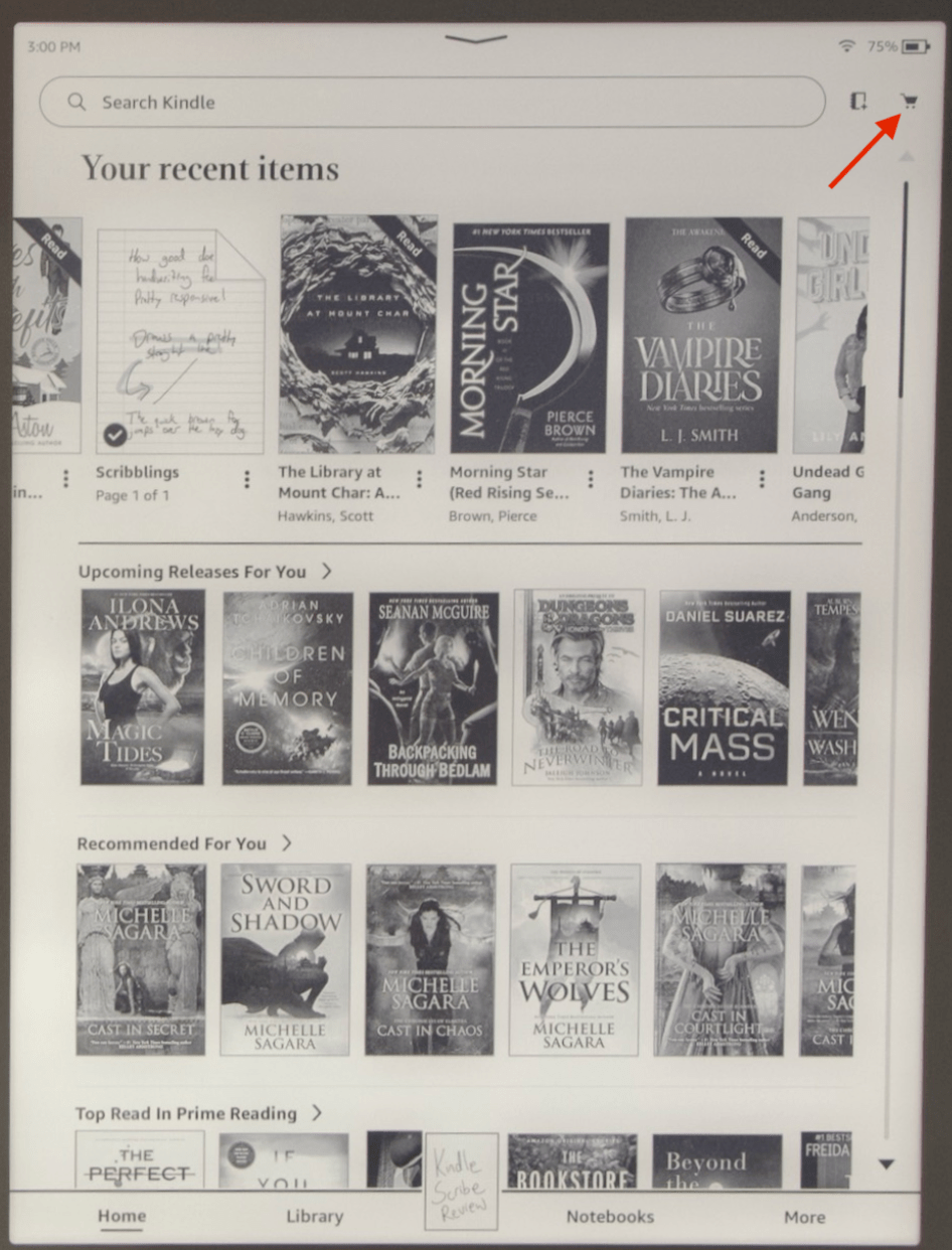 Kindle store not working