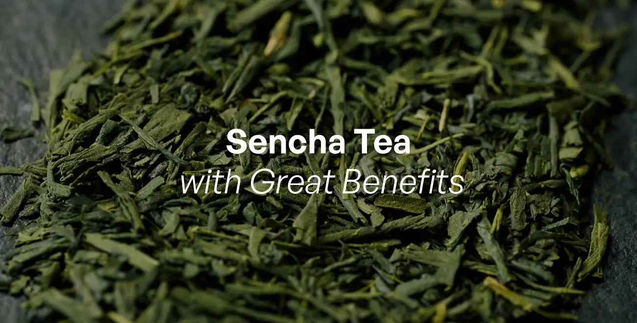 Sencha Tea A Detailed Guide To The Best Japanese Green Tea