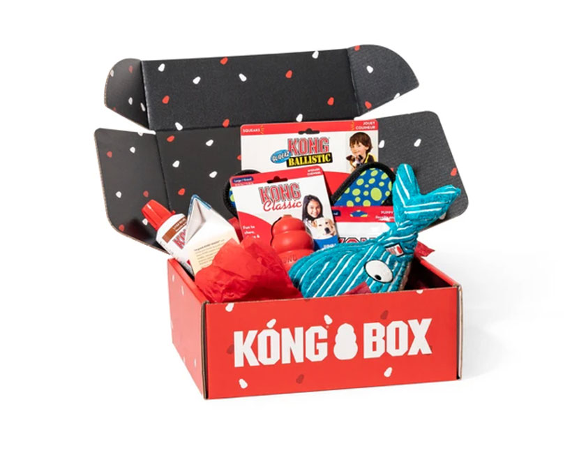 Perfecting the Customer Experience Through Brand Control & Branding