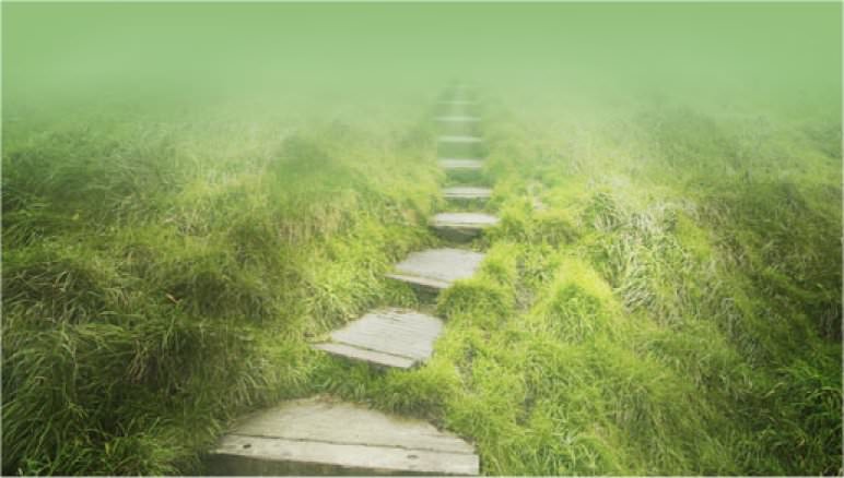 Image result for path