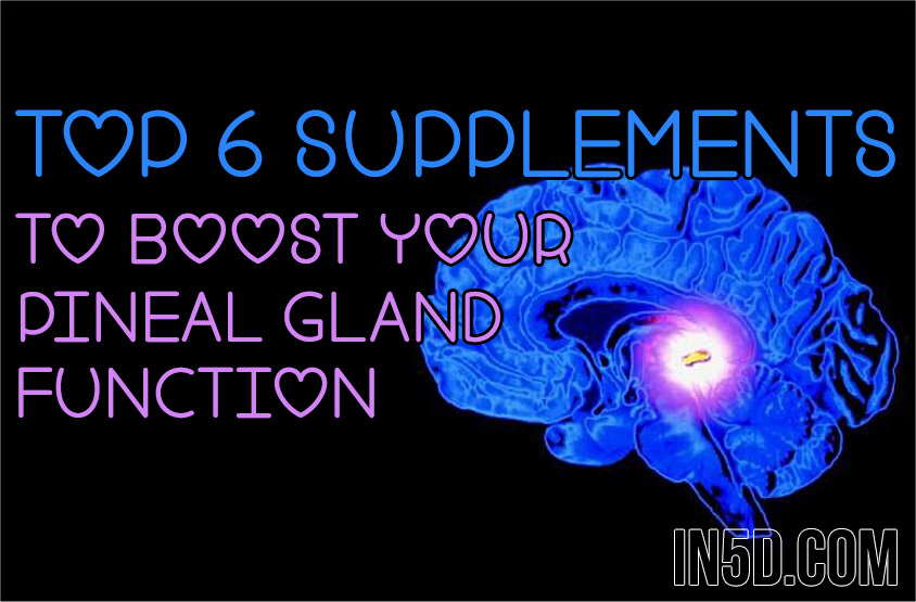 Top 6 Supplements To Boost Your Pineal Gland Function Top 6 Supplements To Boost Your Pineal Gland Function