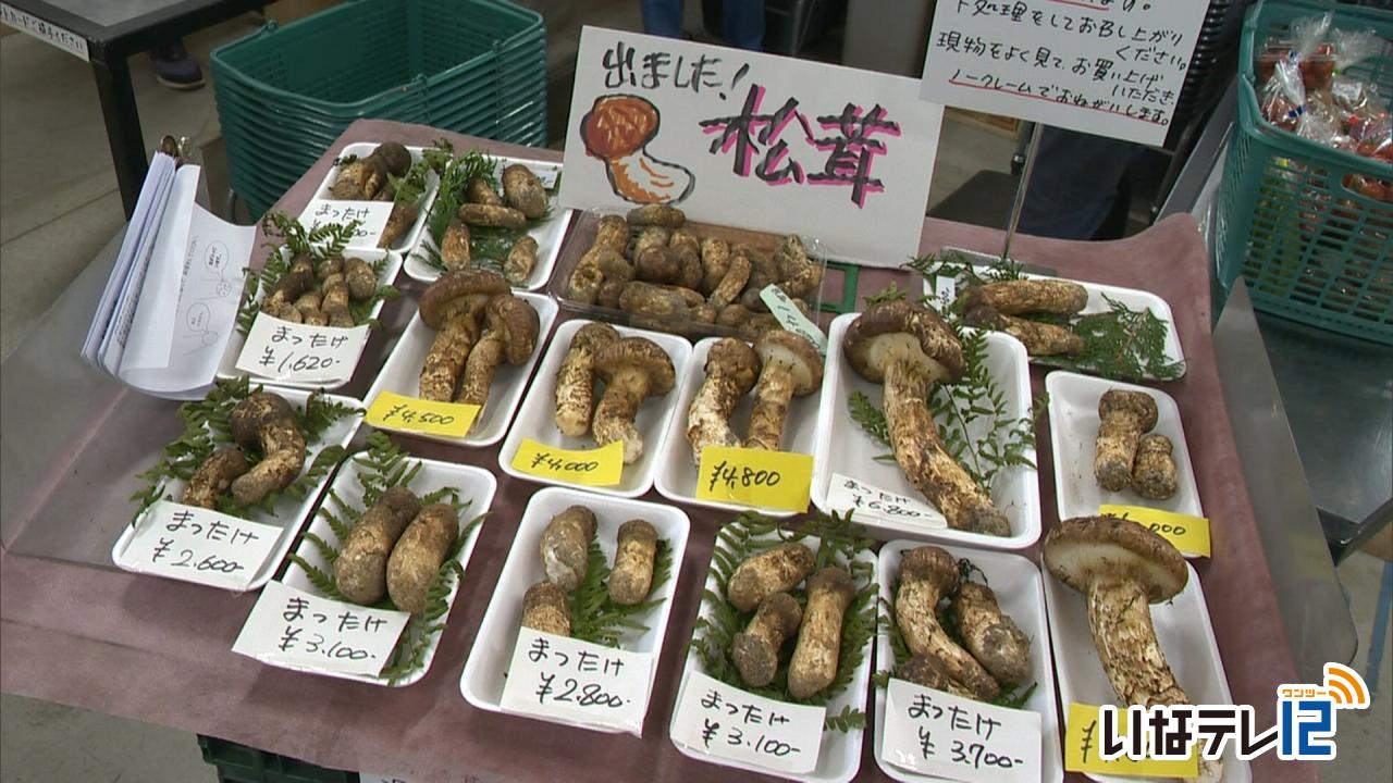 グリーン ファーム 伊那 松茸