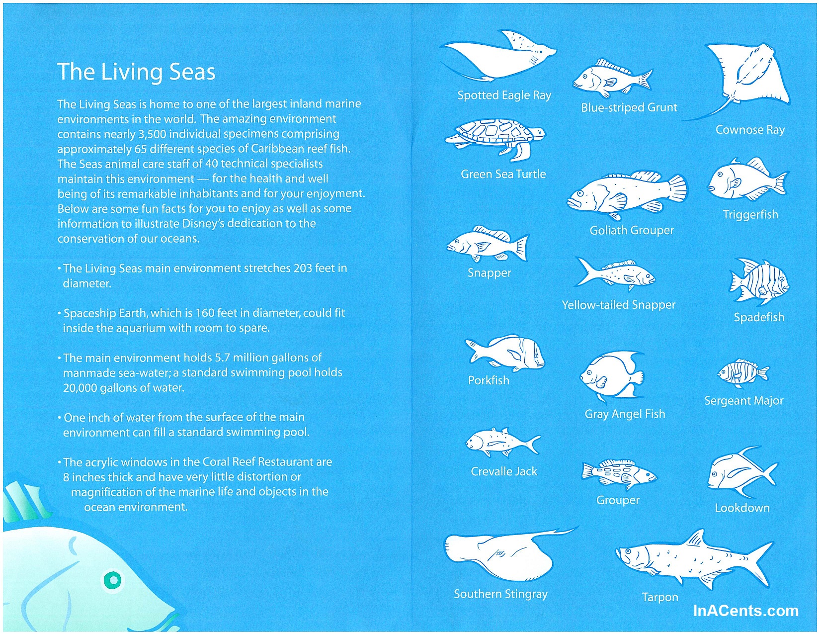 Dining with Your Friends at Epcot's Coral Reef Restaurant