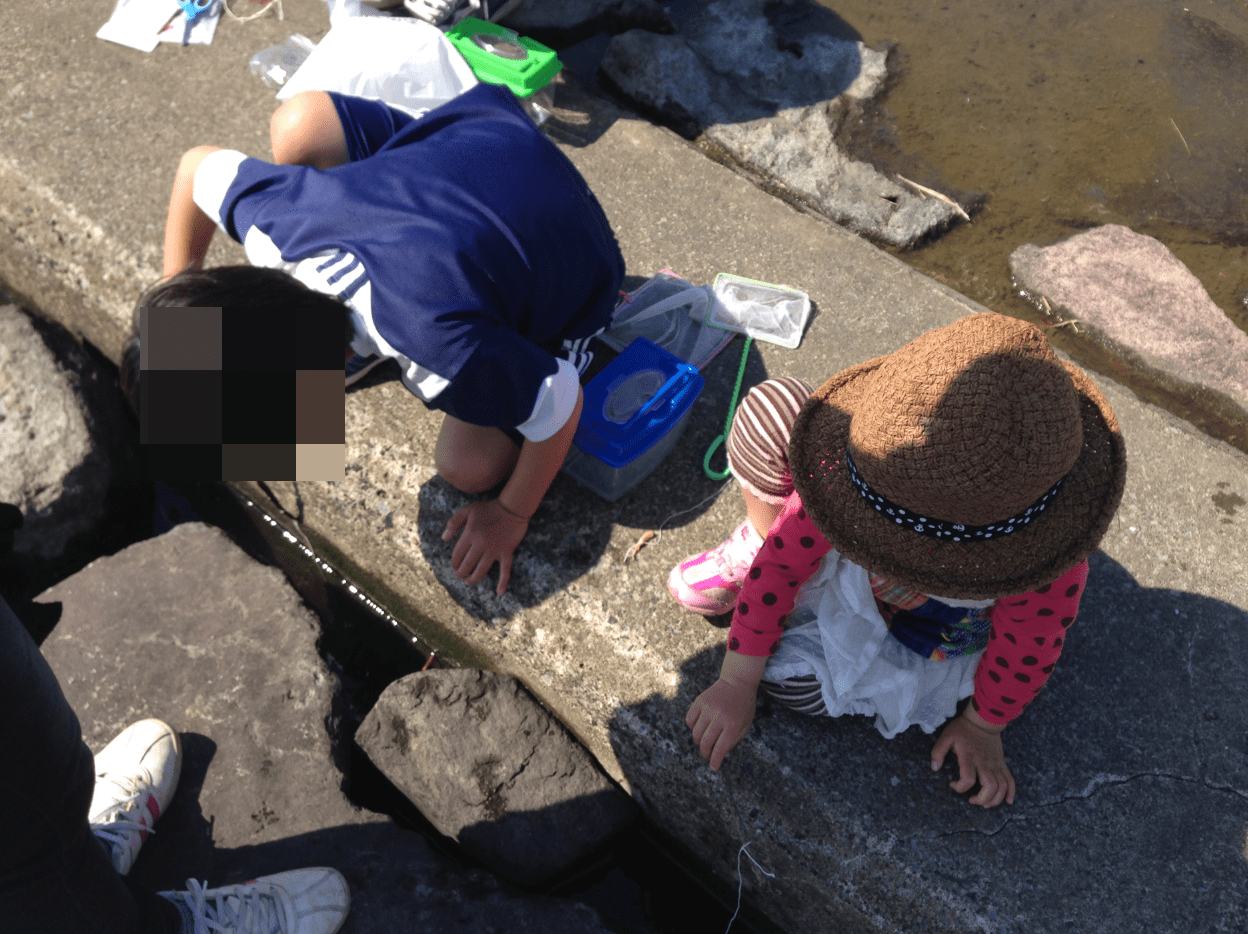 葛西臨海公園カニ釣り体験ブログ。釣れる場所・必要な道具・現地様子をご紹介