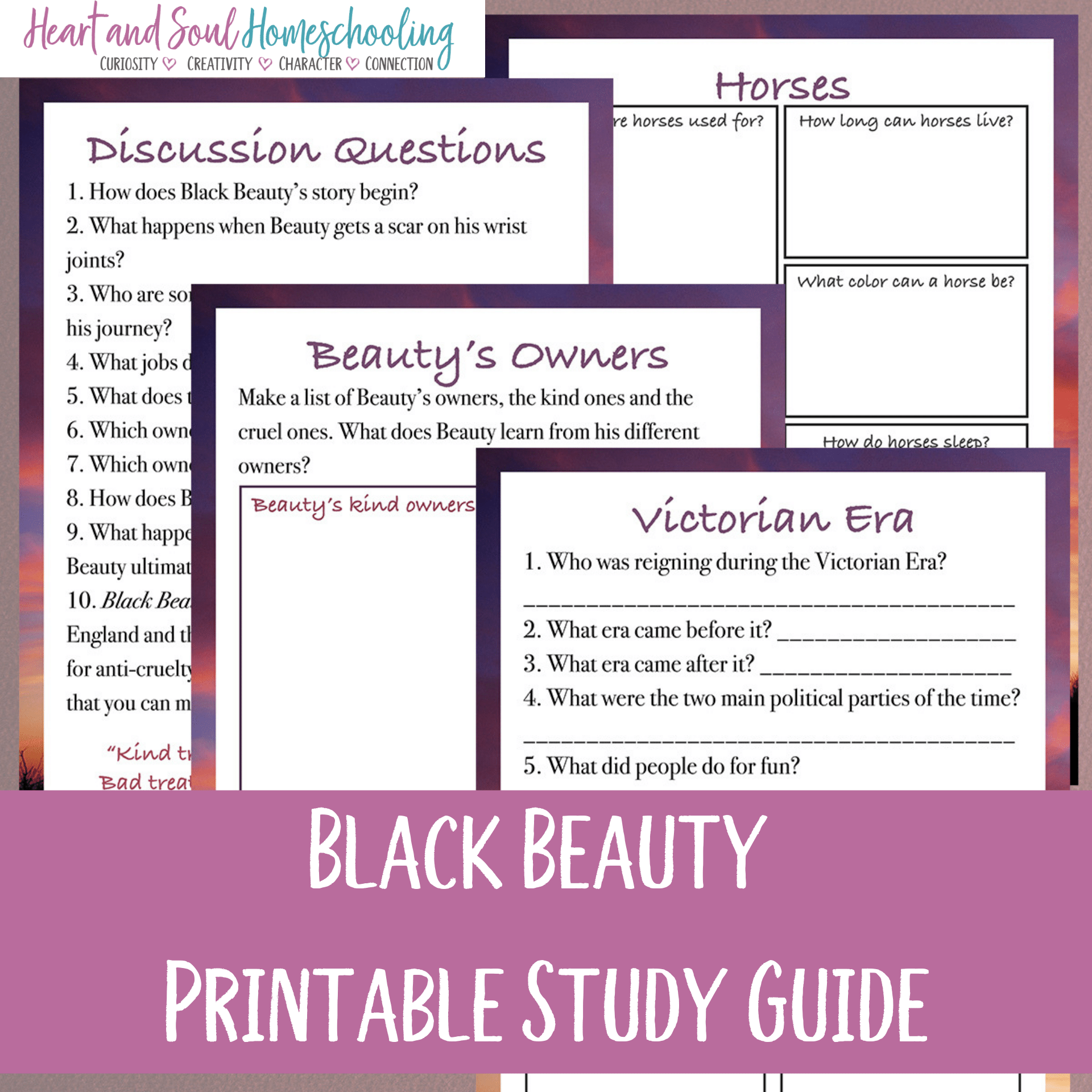 Black Beauty Study Guide – In All You Do