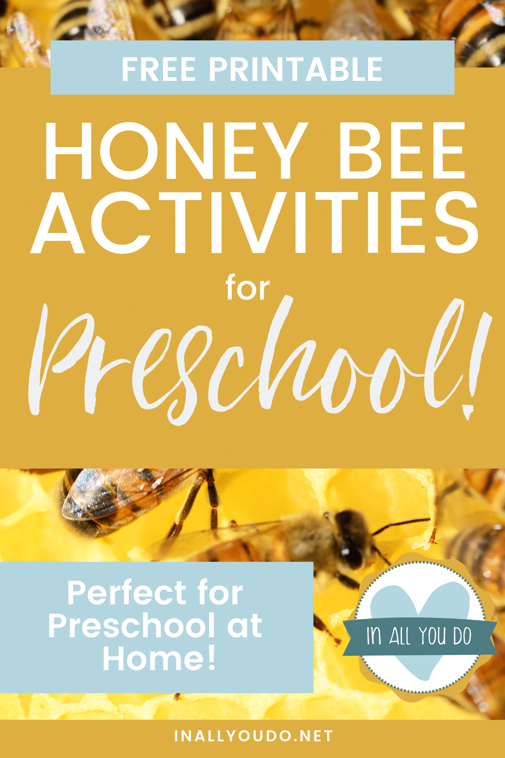 Bee Activities for Preschoolers In All You Do