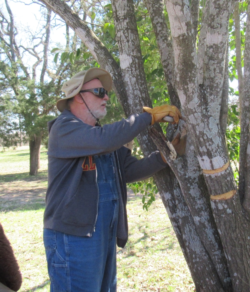 Human from Wilson Ledbetter Park, Cameron, Milam Co, TX, USA on March