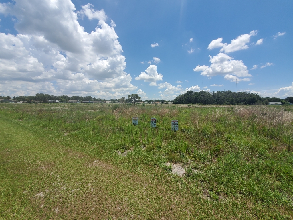 Something from Boyette Springs, Riverview, FL 33569, USA on July 6, 2023 at 1237 PM by spazzin