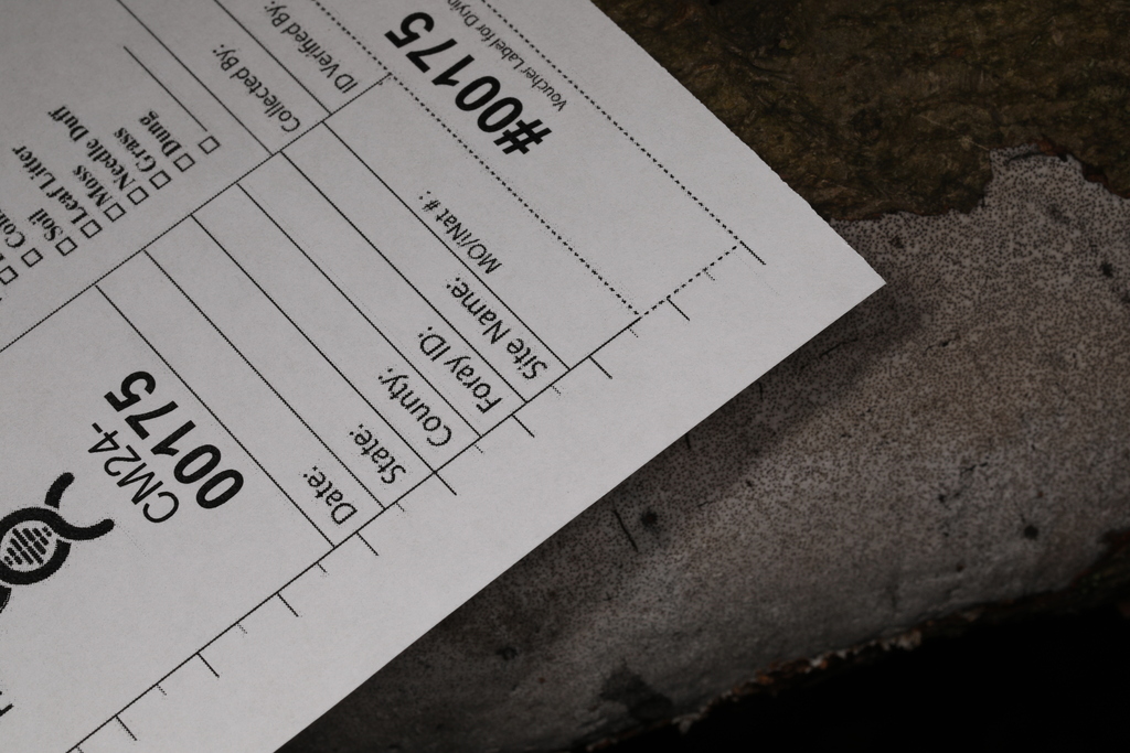 Fungi Including Lichens from Ann Rudd Saxman Nature Park, Donohoe Rd