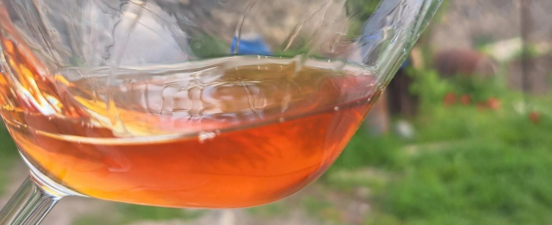 Buy wine online Discover the diversity of Inavarde Wines