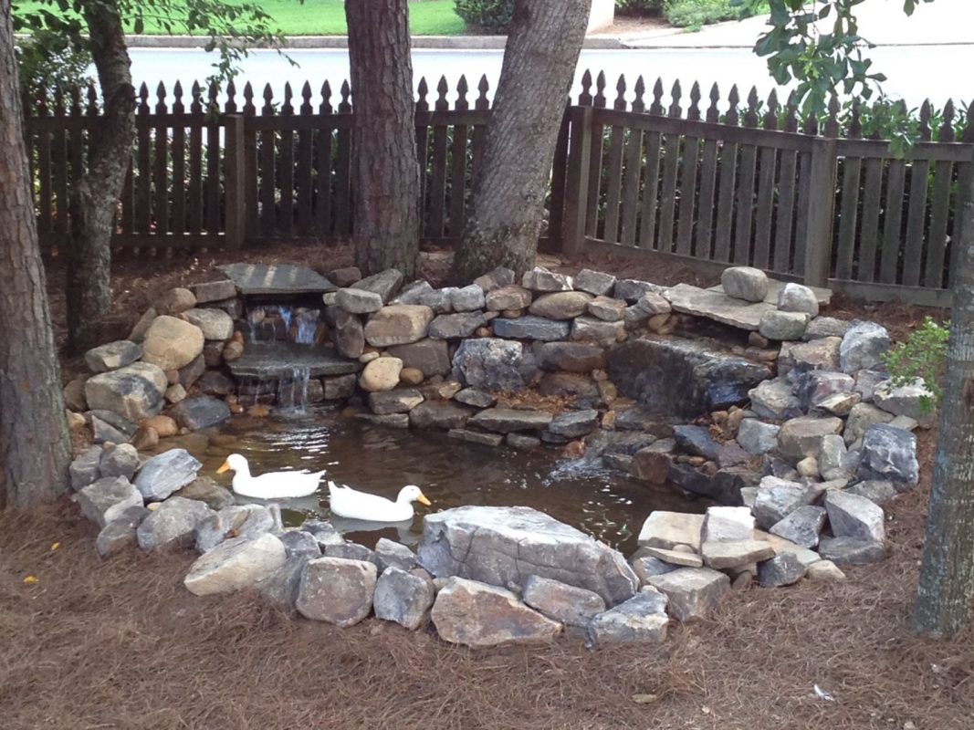 21 Clever Backyard Duck Pond Ideas You can Build Yourself