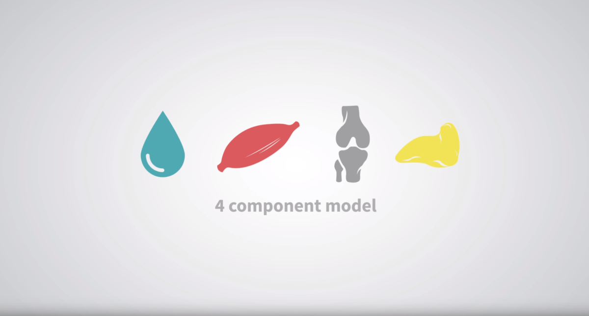 Que Significa Body Measurement Body Measurement Info