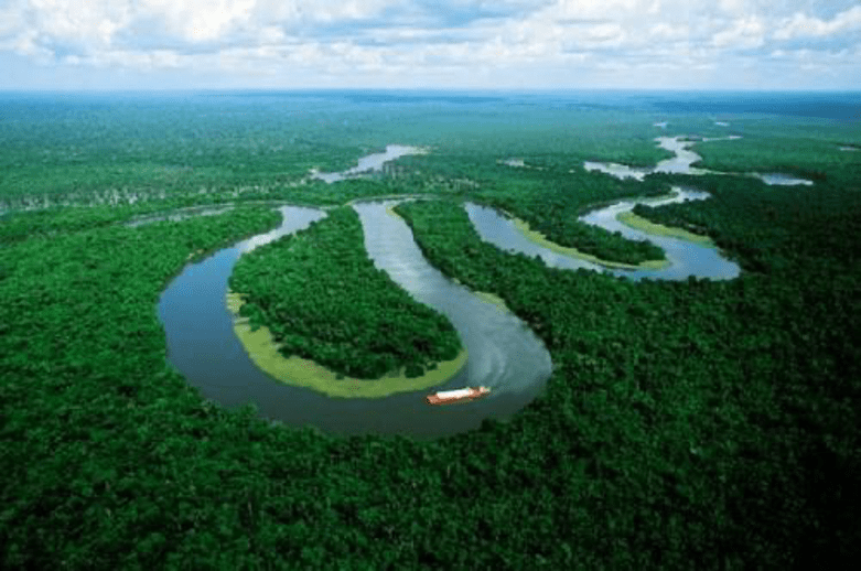 Río Amazonas la importancia ecológica de esta maravilla natural del