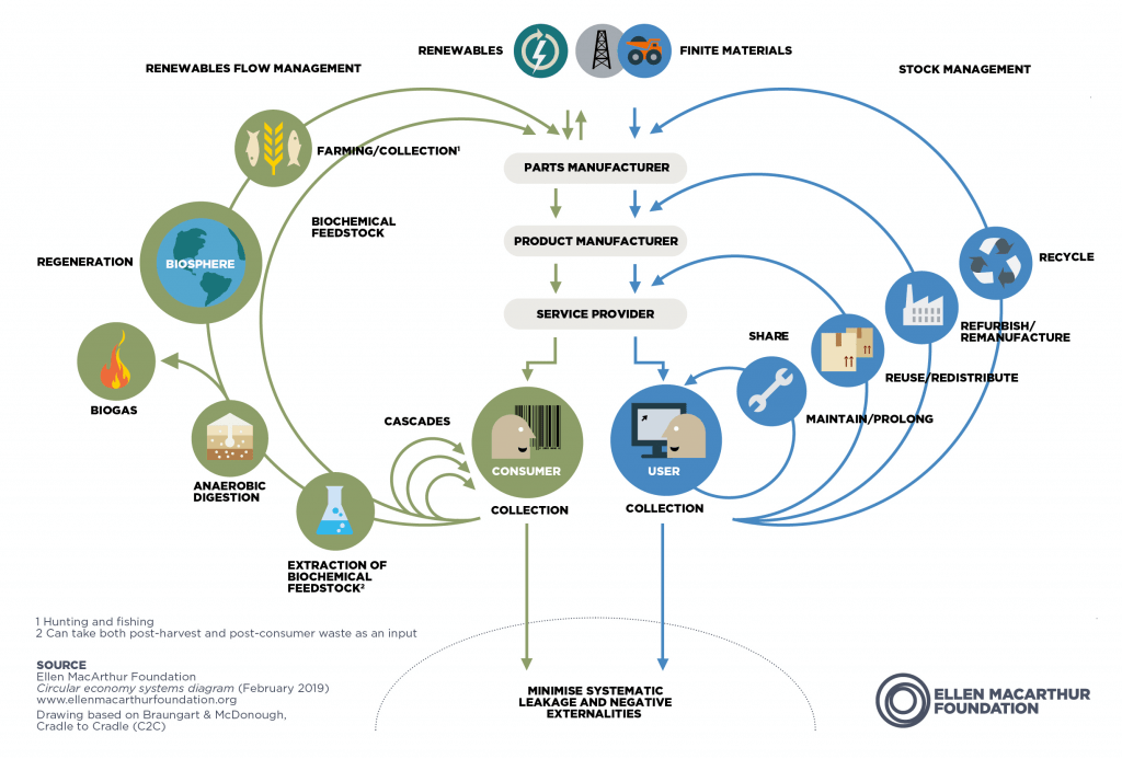 Sustainability vs. Circularity Understanding the Key Differences