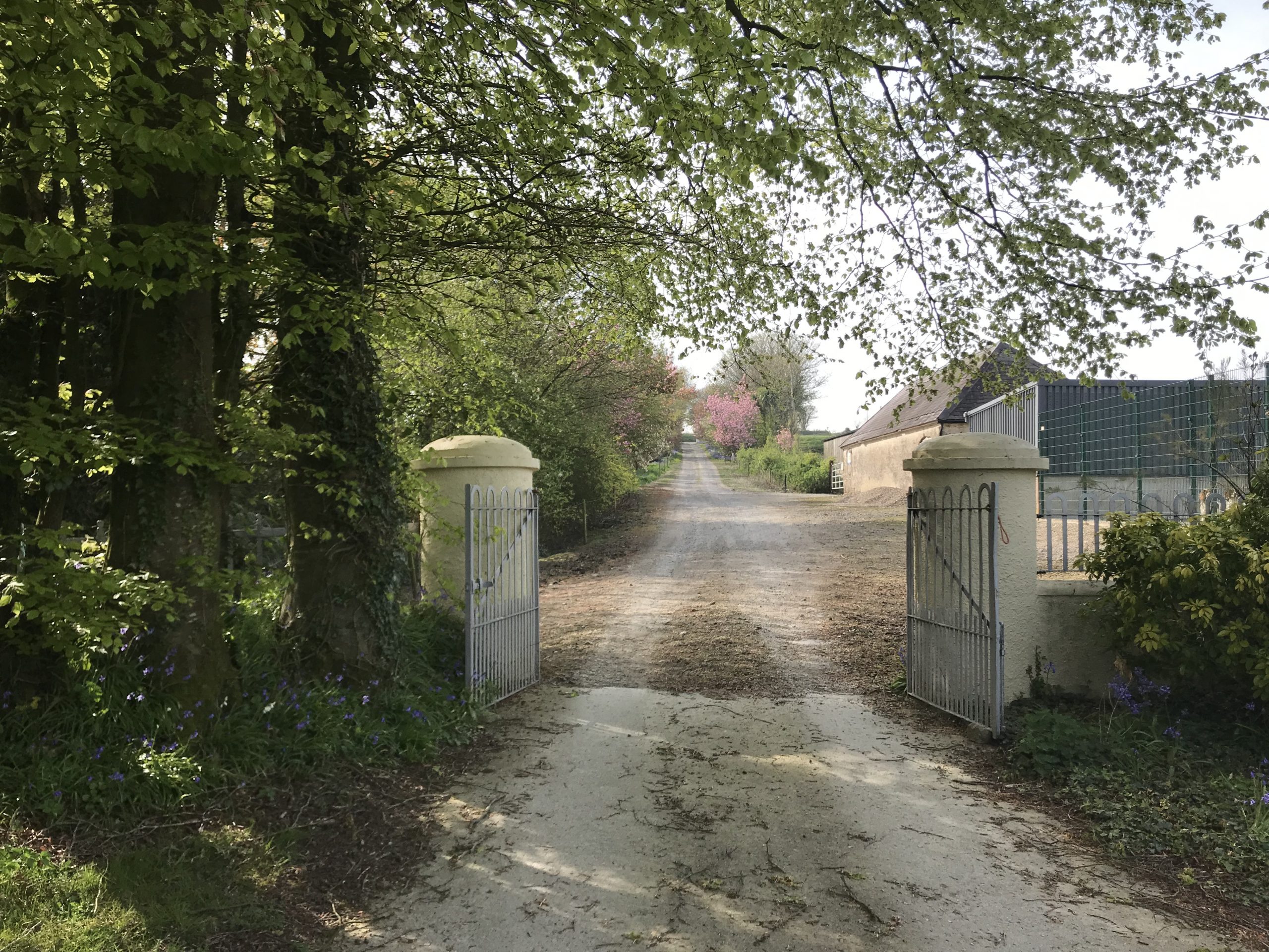 Tour Inch House Kennels Dog Boarding Kennels Wexford