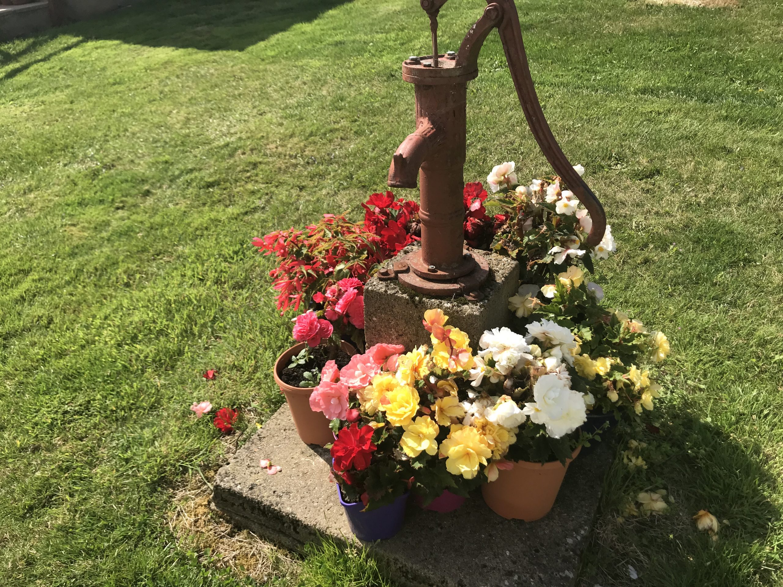 Tour Inch House Kennels Dog Boarding Kennels Wexford