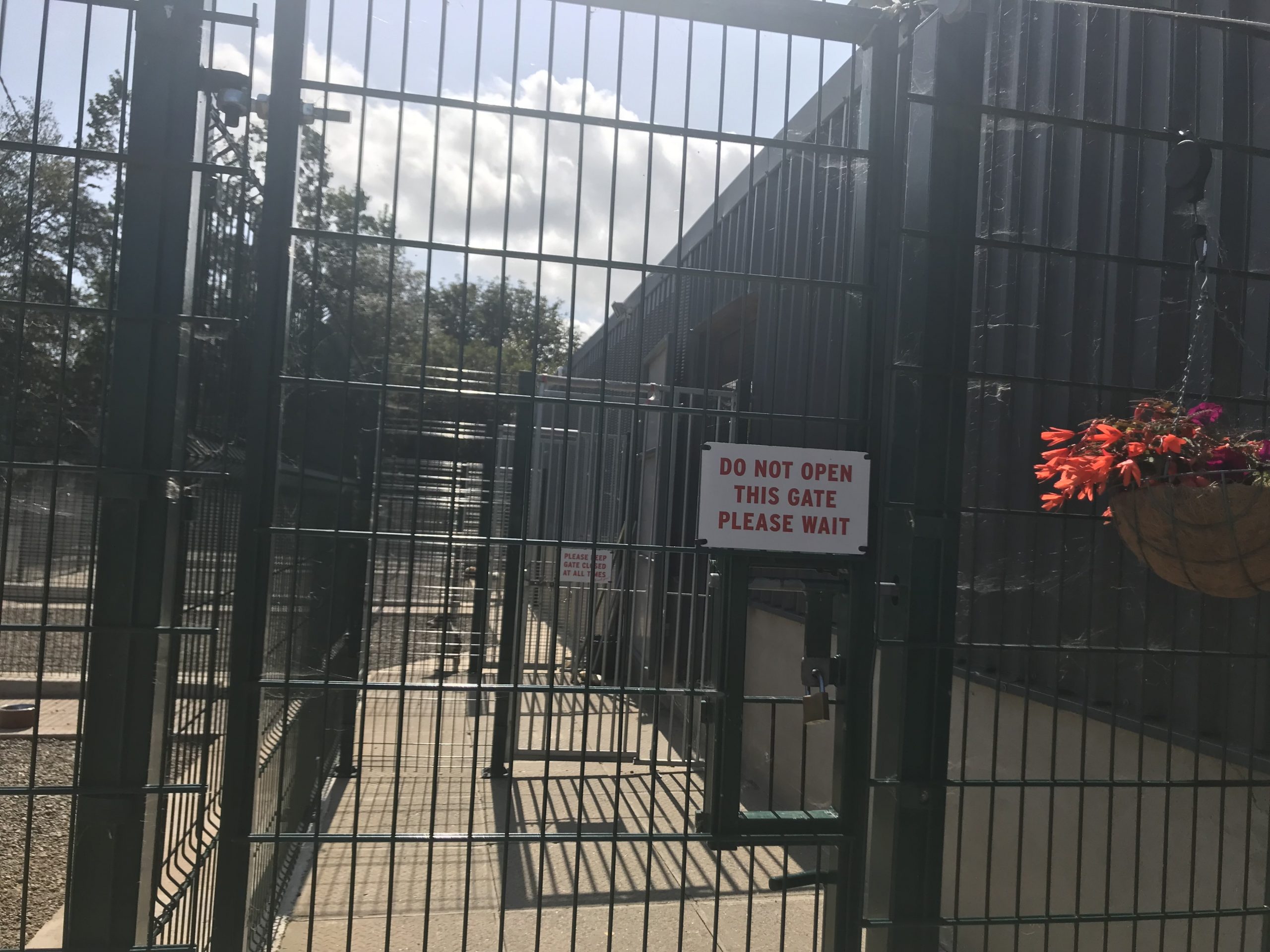 Tour Inch House Kennels Dog Boarding Kennels Wexford