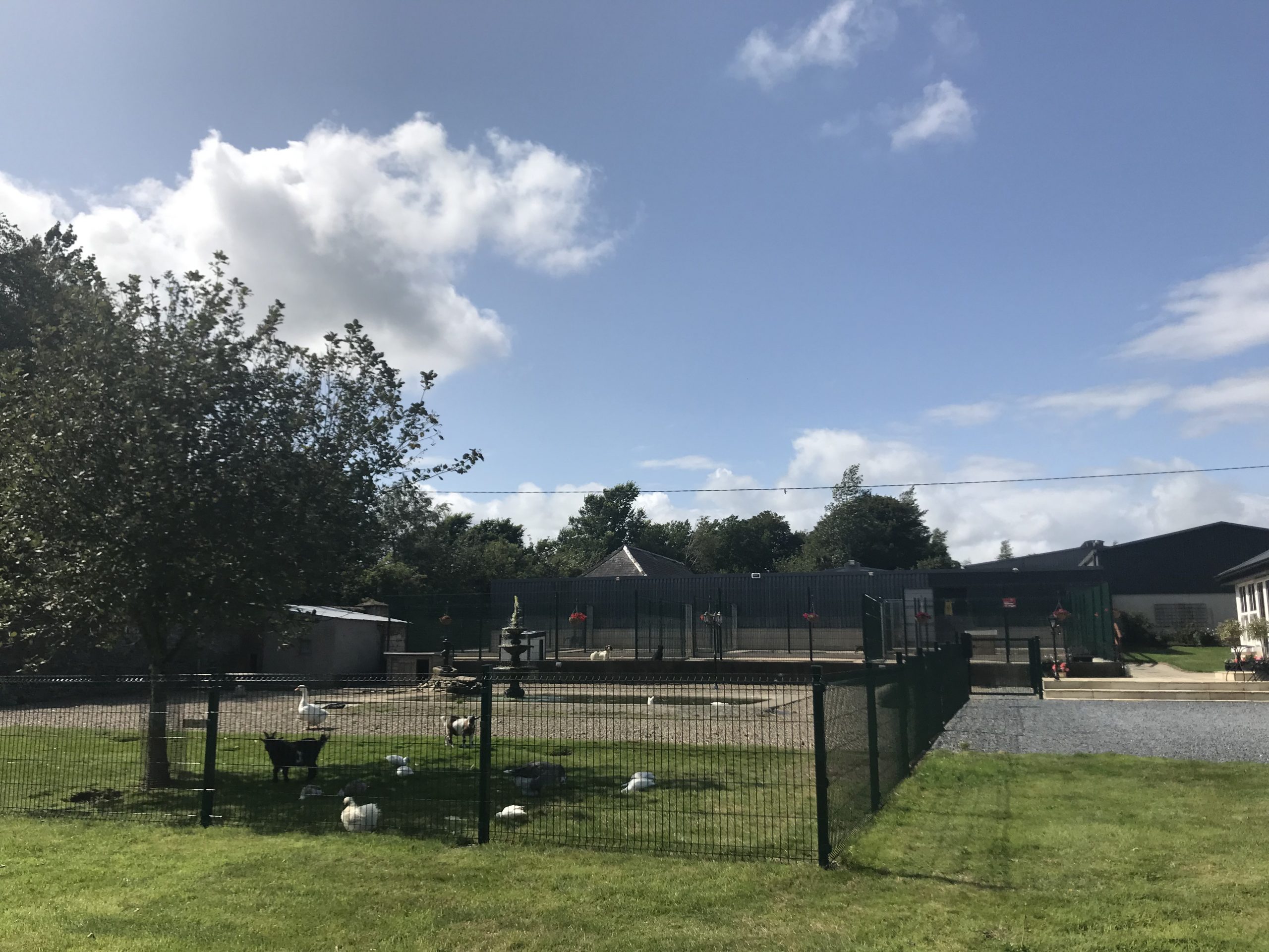 Tour Inch House Kennels Dog Boarding Kennels Wexford