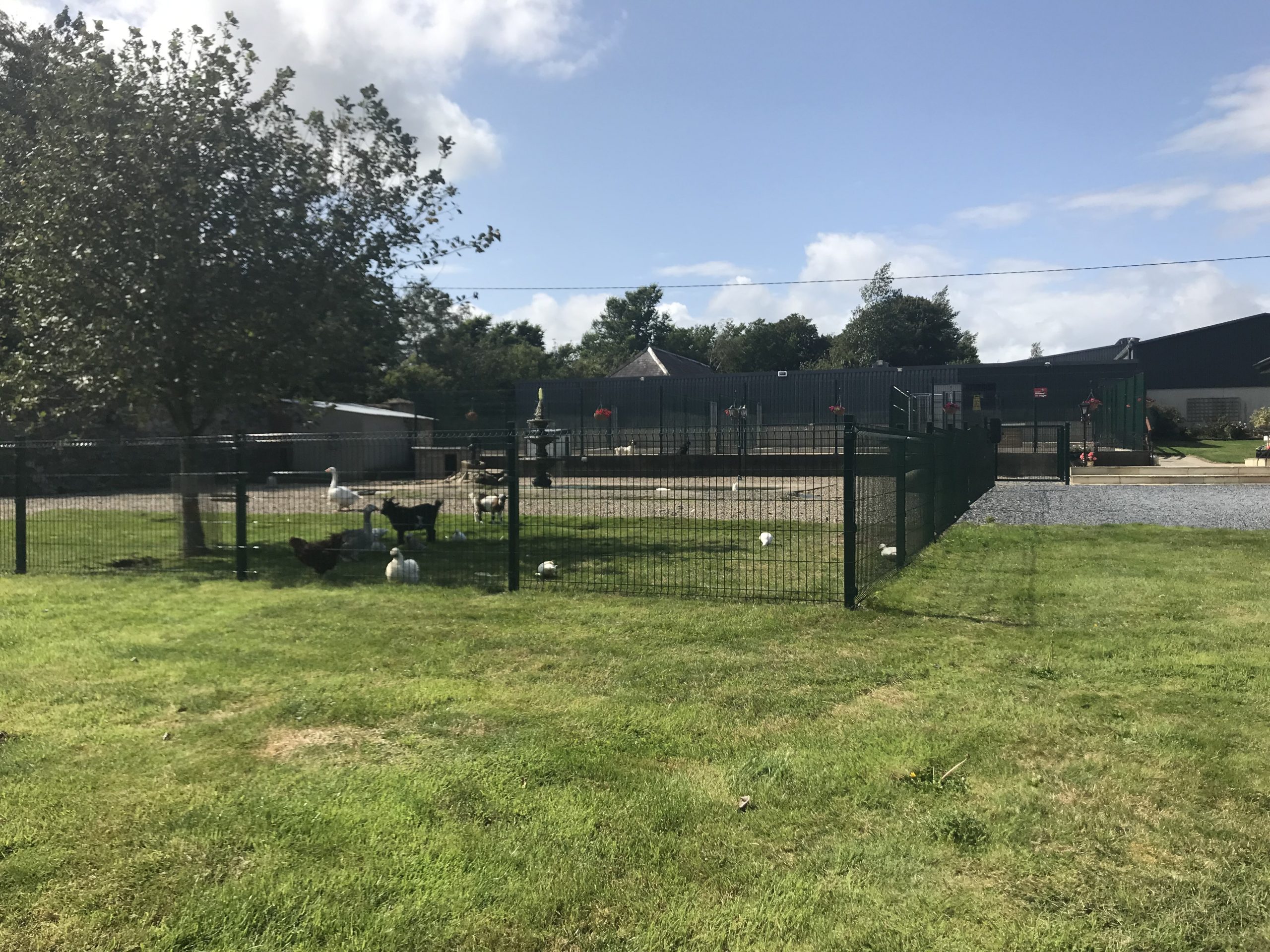 Tour Inch House Kennels Dog Boarding Kennels Wexford