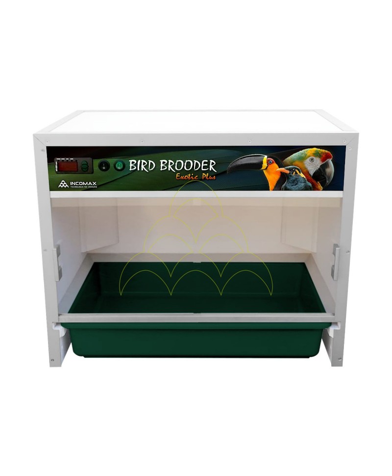 Brooder Bird Brooder Exotic Plus