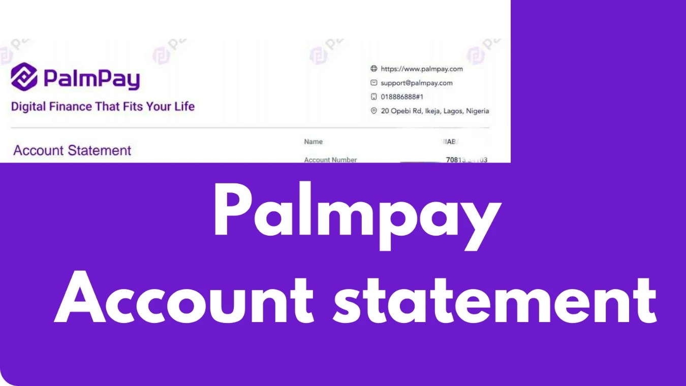 How To Get Palmpay Statement Of Account + Transaction History
