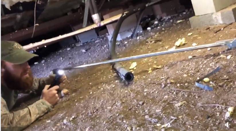 Snake Removal Company Finds 24 Snakes In Home