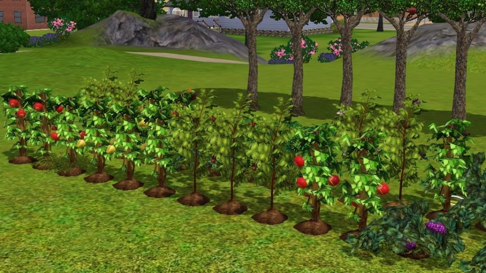 How to Garden in Sims 3 Having a Green Thumb Increase Gaming