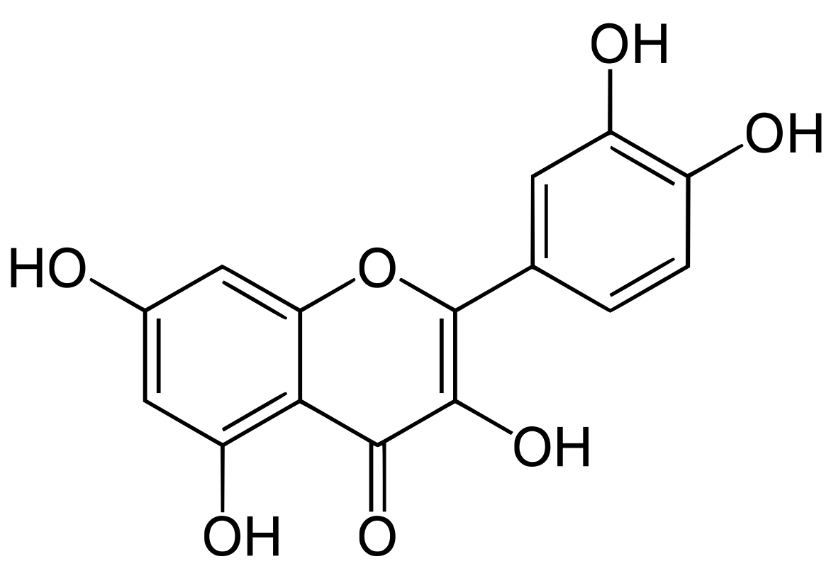 Quercetin a Longevity Supplement