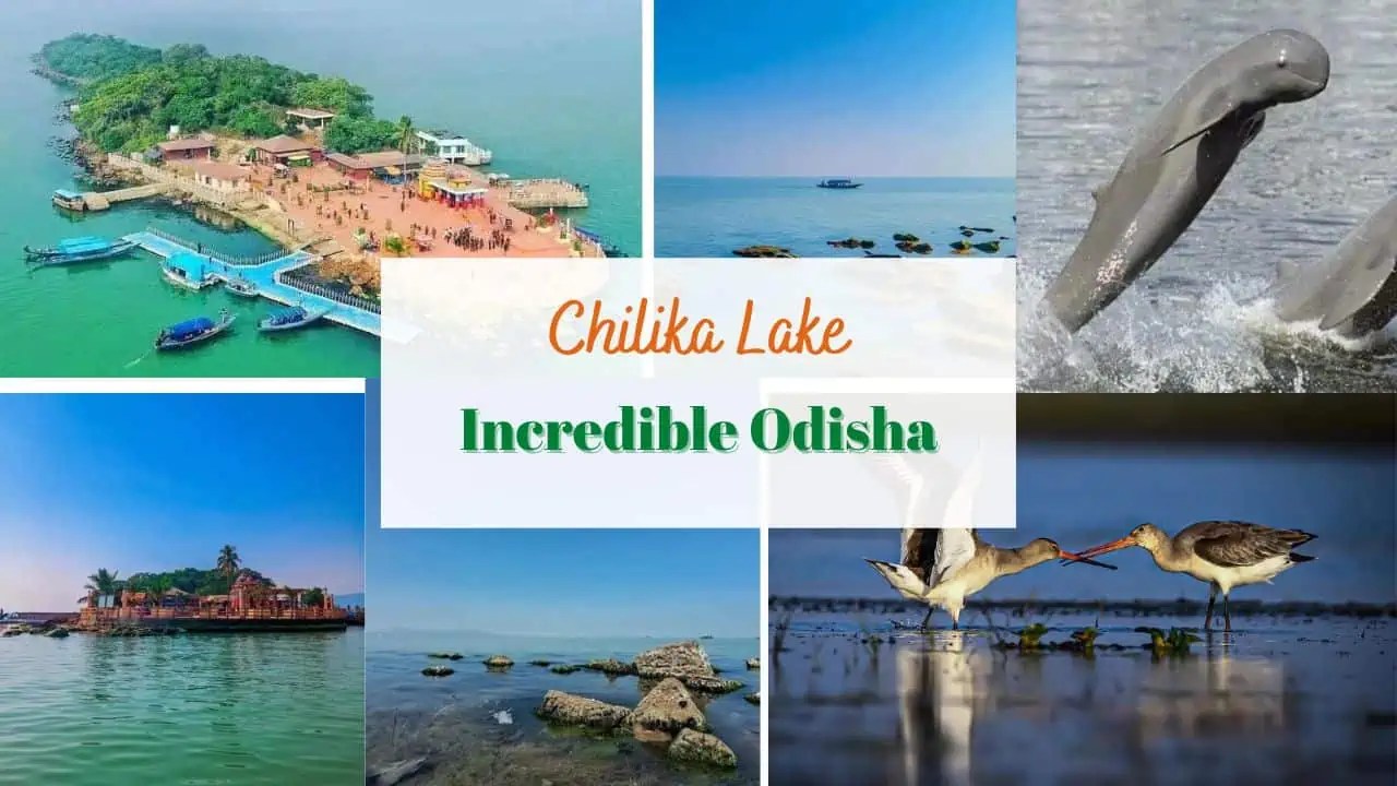 Chilika Lake 7 Things To Do And See, Dolphins, Kalijai Temple, And Garuda Chilika In 2024