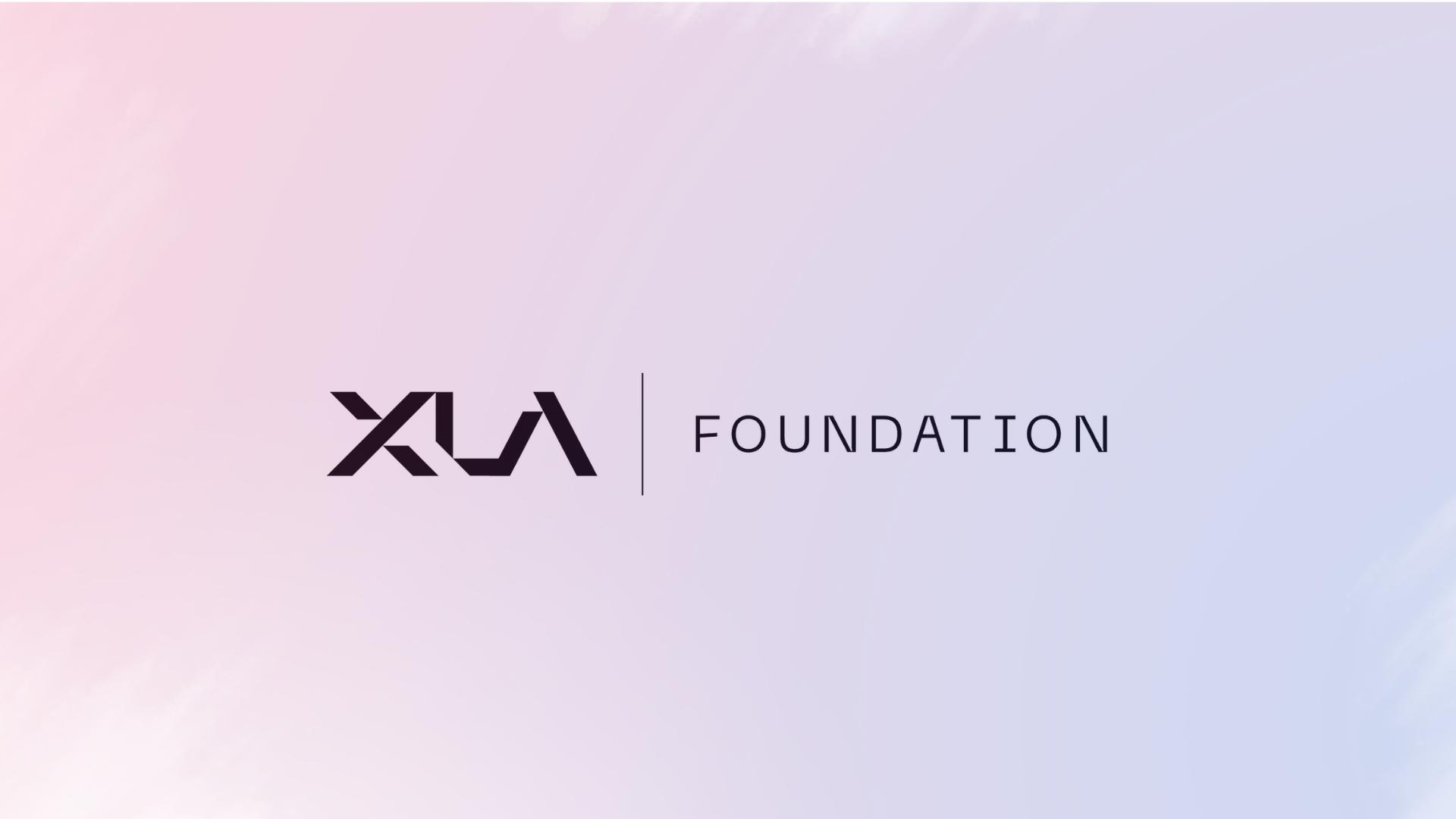 Основатель Xsolla запускает X.LA Foundation INCRYPTED