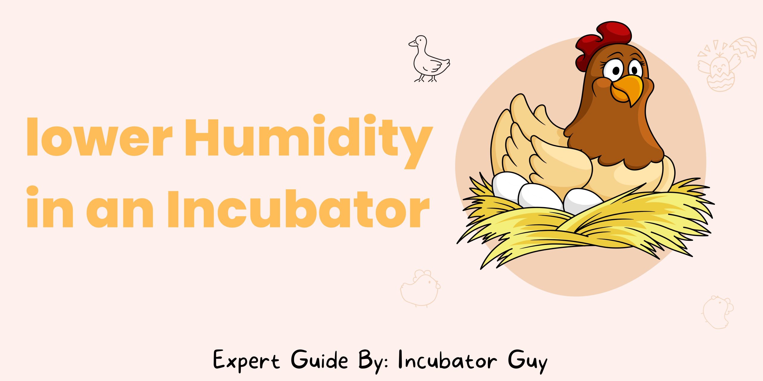 How to Lower Humidity in an Incubator for Successful Hatching
