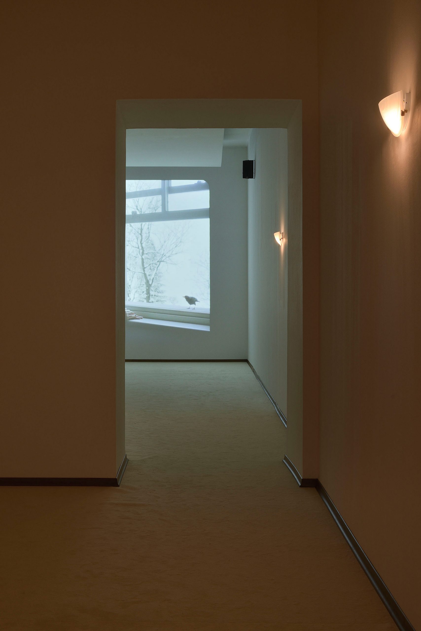 Diego Marcon The Parents' Room [20202021] INCURVA