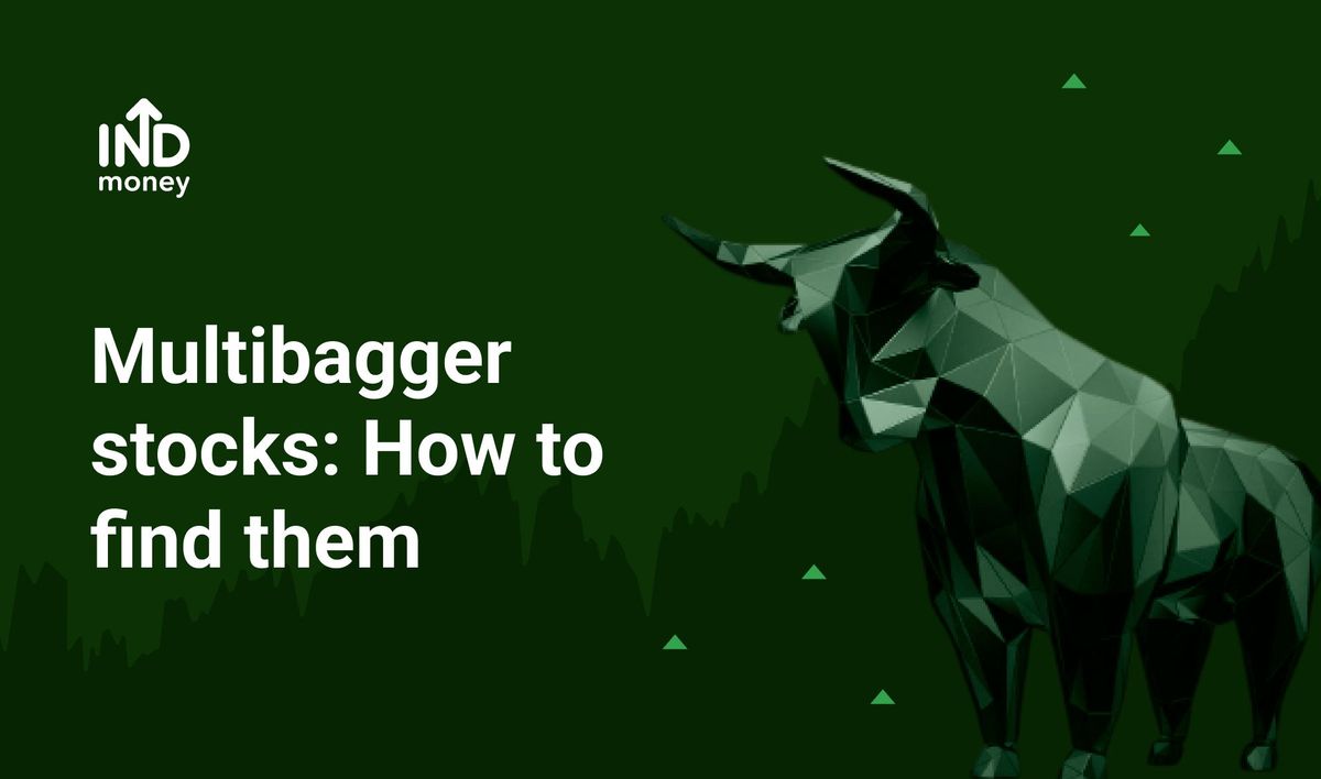 Multibagger Stocks for 2022 How to Find Future Multibagger Stocks in