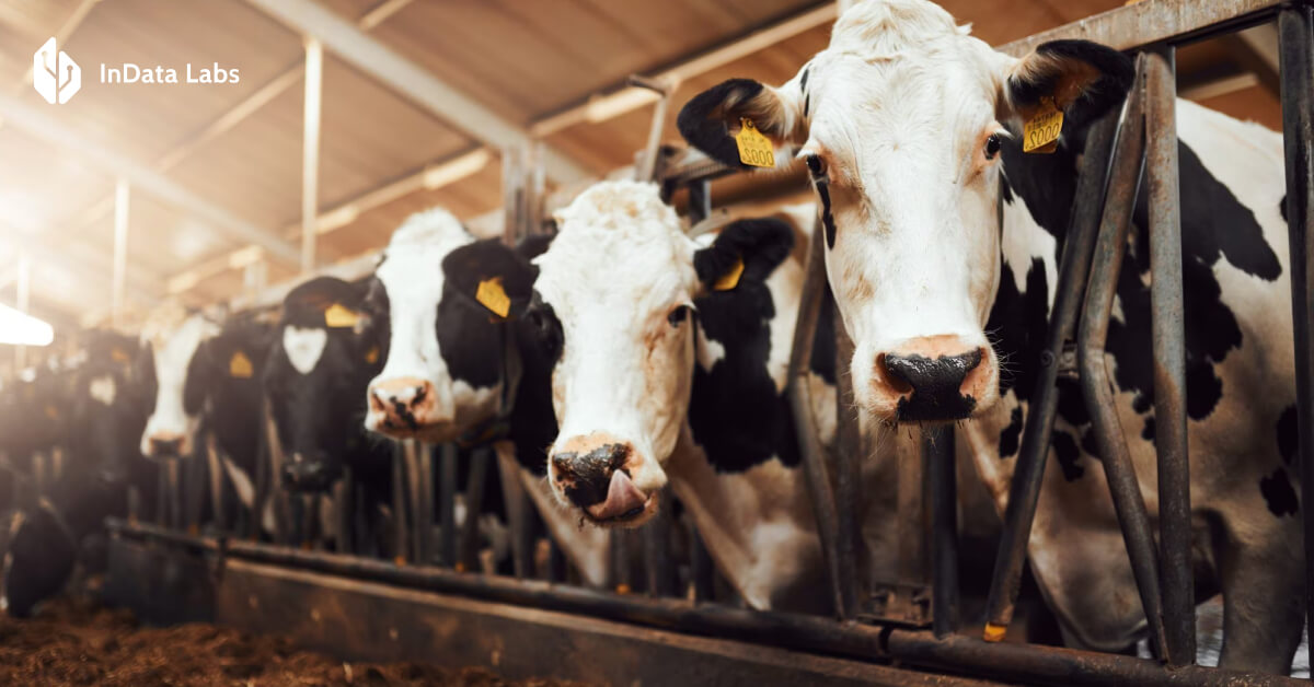 Aggression Detection of Cattle Operators Around Cows InData Labs