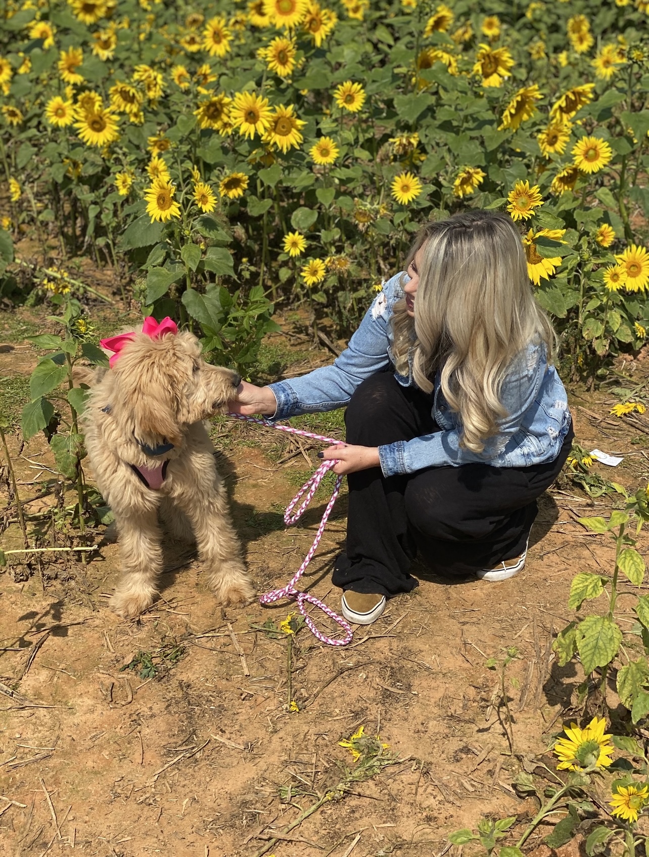 PET ETIQUETTE AT FALL FESTIVALS Independence Veterinary Clinic