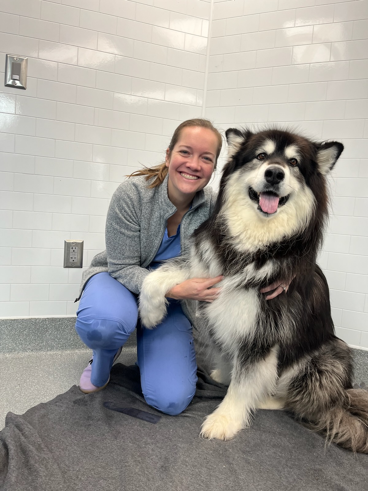 NEW YEAR, NEW TAIL WAG PRIORITIZING YOUR PUP’S WELLNESS INTO THE NEW