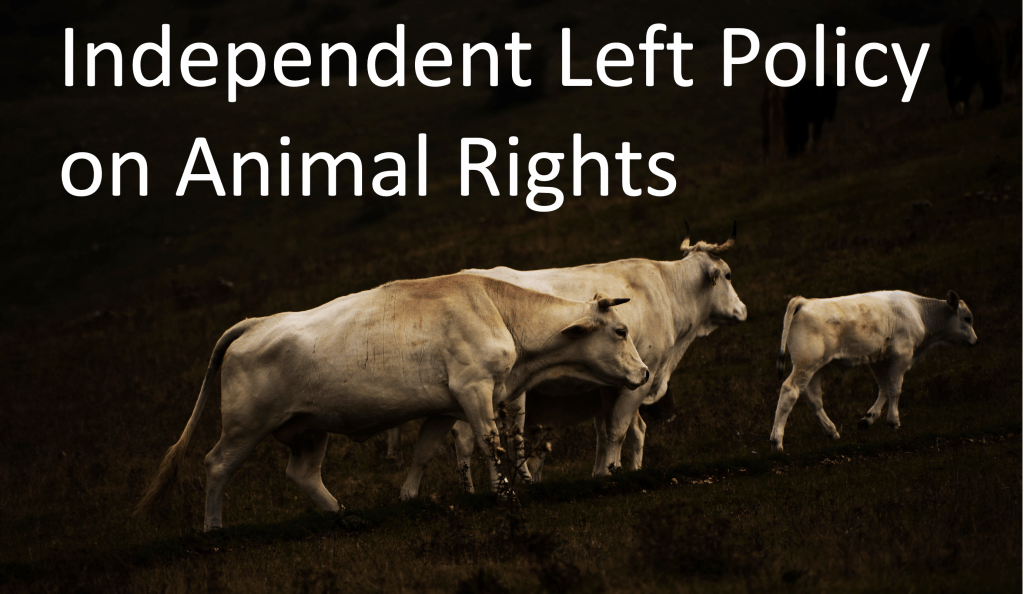 Animal Rights Policy Independent Left