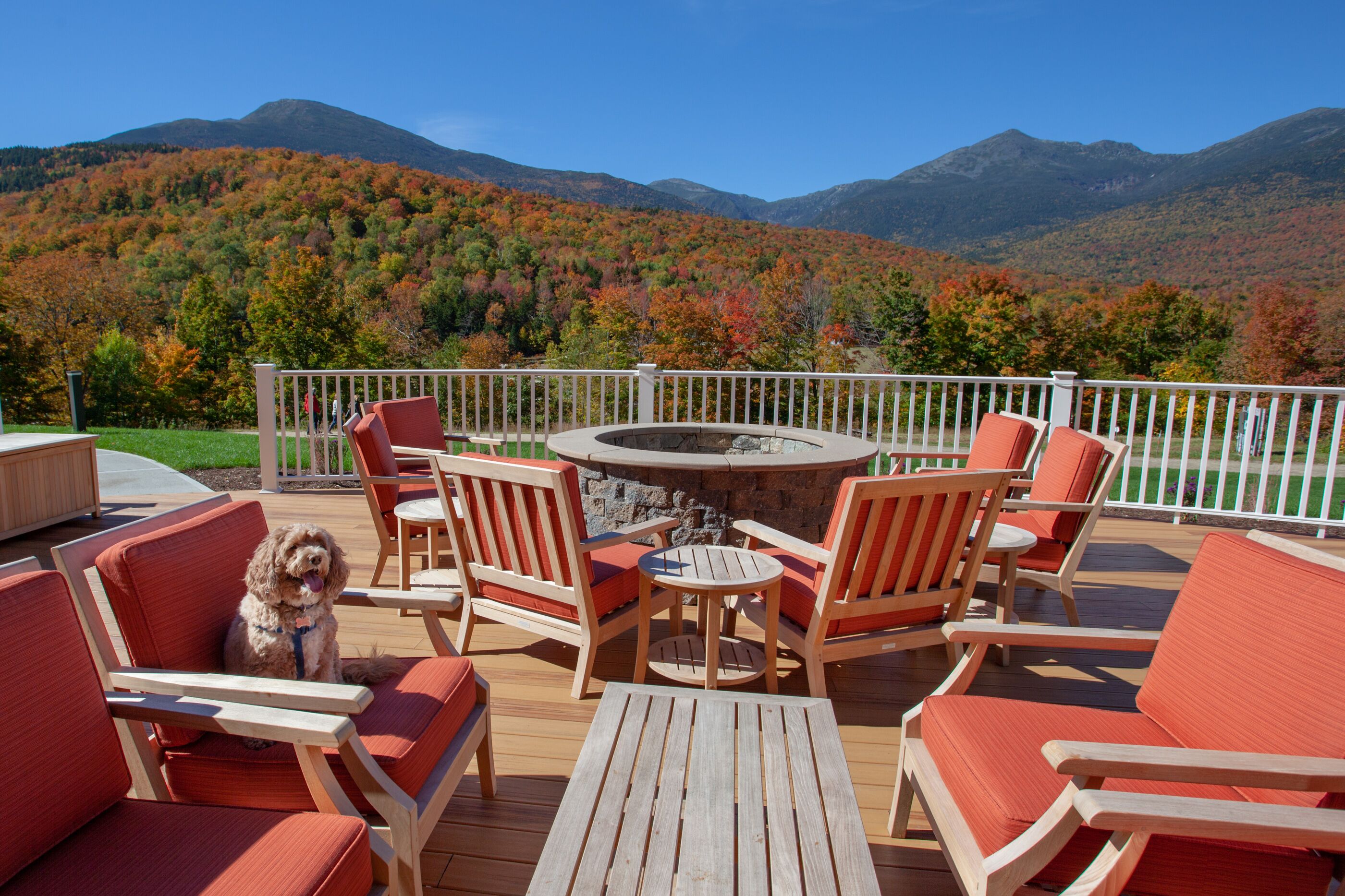 Yankee Magazine Names The Glen House the Best New Hotel in New