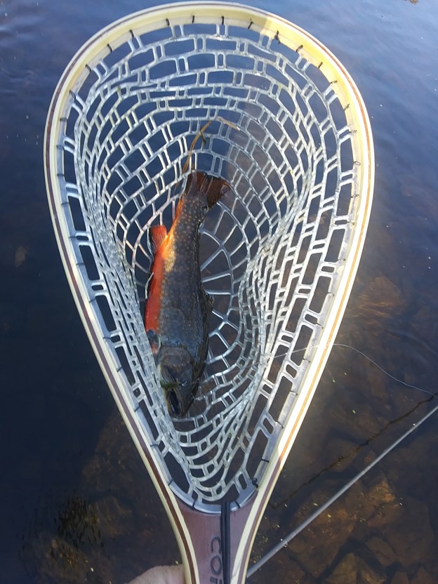 The Colors of Autumn Fly Fishing