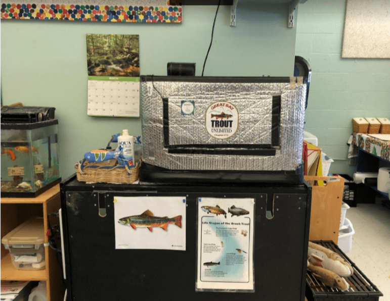 Trout in NH Classrooms