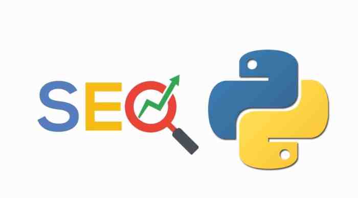 How to Use Python for SEO How to Use Python for SEO