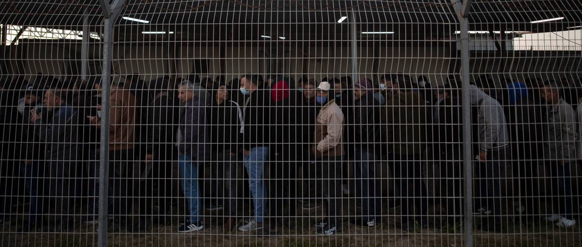 Can Indians replace Palestinian workers in Israel? Shafaqna India