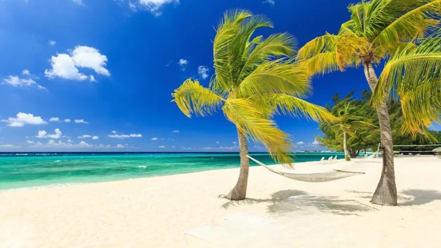 Airport Codes of Cayman Islands Airports