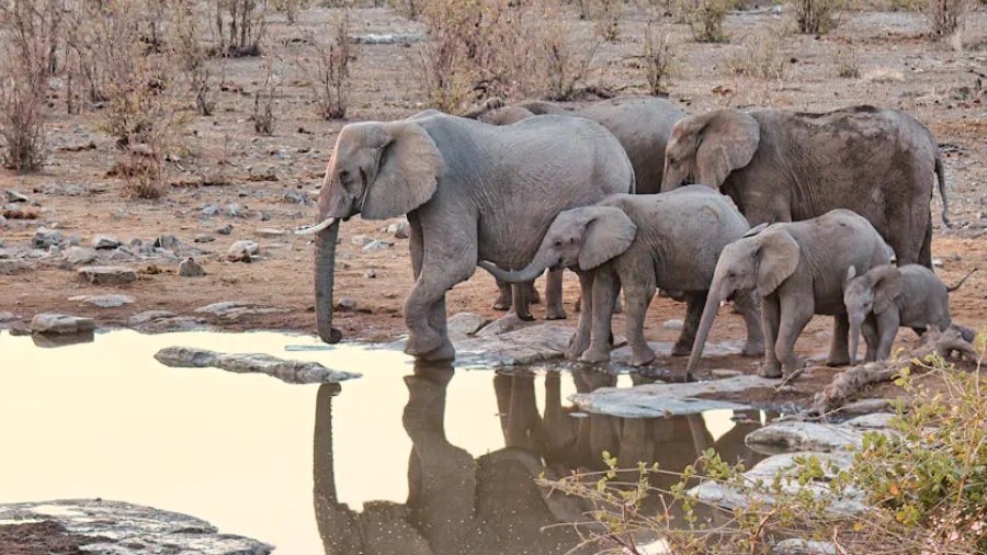 Airport Codes of Namibia Airports