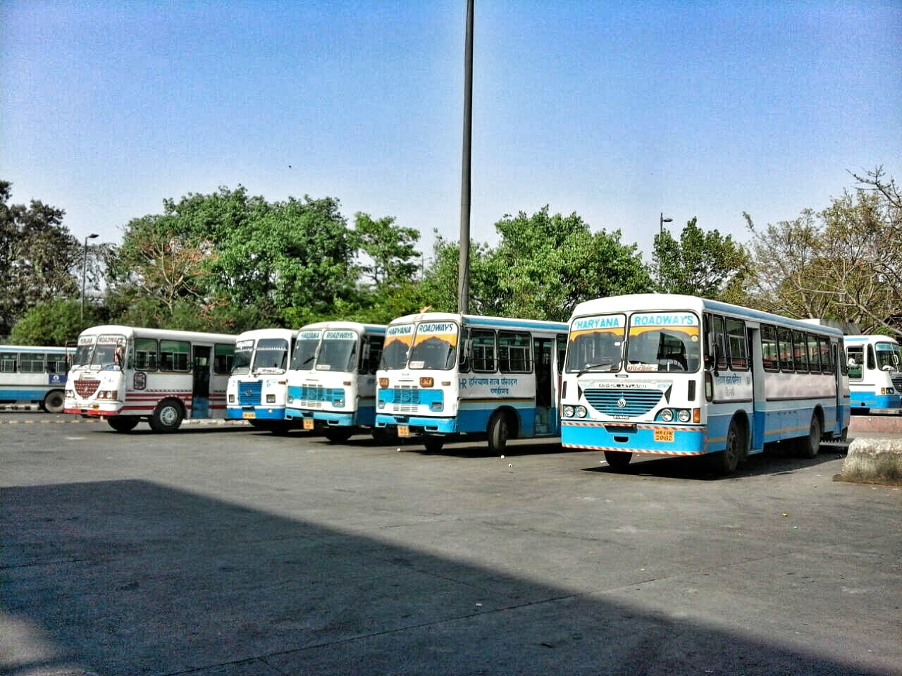 Roadways Buses (11) India Buses