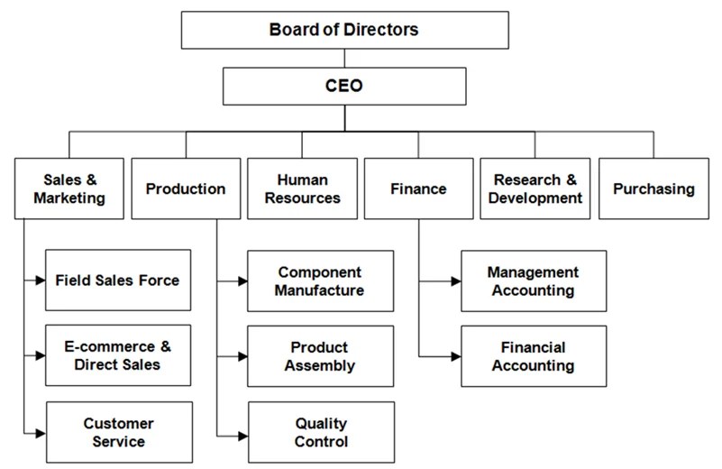 Organizational and Ownership Structure indiafreenotes