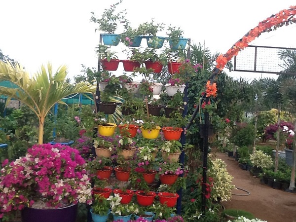 Karuna Nursery Garden India Gardening Directory