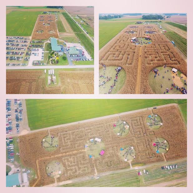 Indiana on Tap Confessions from the Inaugural Corn Maze Beer Fest