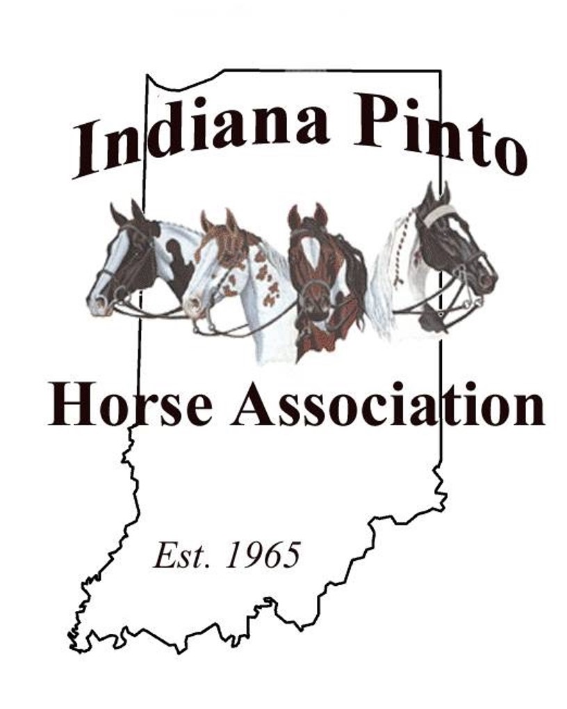 Indiana Pinto