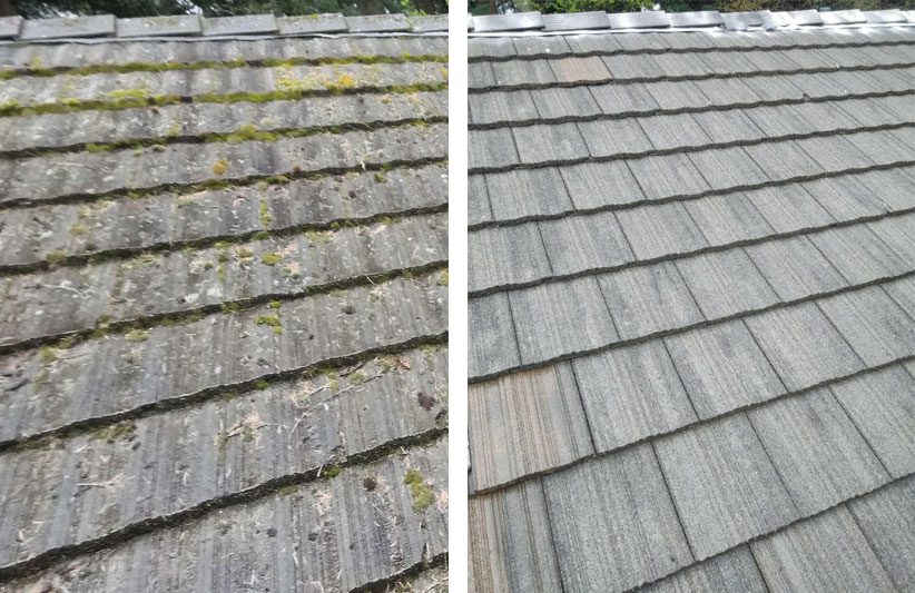 How To Soft Wash Your Roof Indiana Roof Care